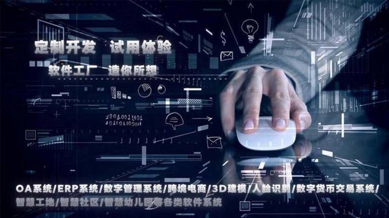 重庆软件开发:挖掘本地企业数字化转型潜力